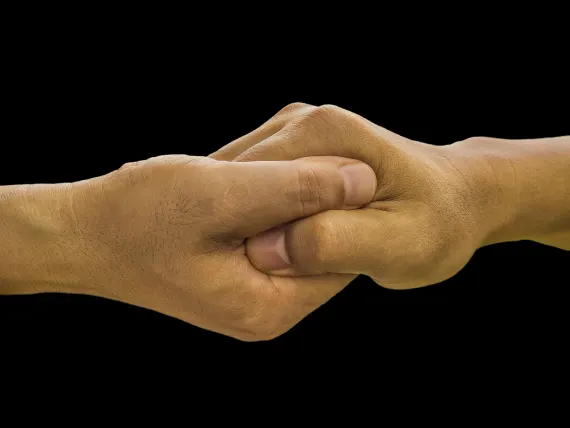 BlueFox Casino Suporte